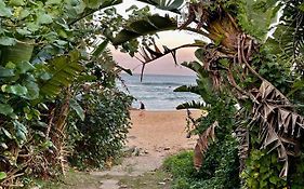 Gracelands Beach Lodge